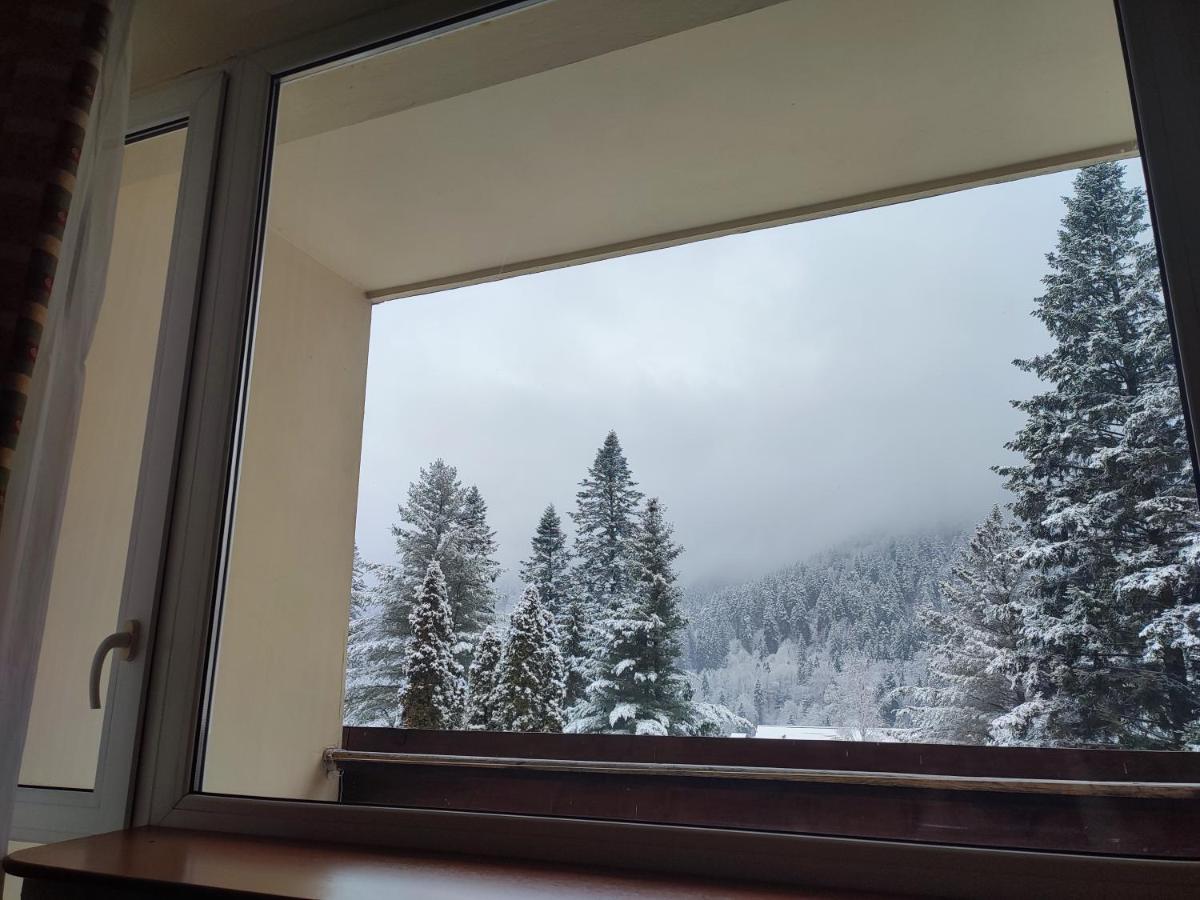 Hotel Ciucas Baile Tusnad Bagian luar foto